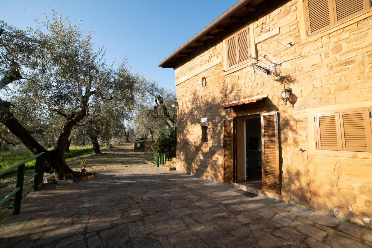 Casetta Maduneta Immersa In Un Oliveto 多尔切阿夸 外观 照片